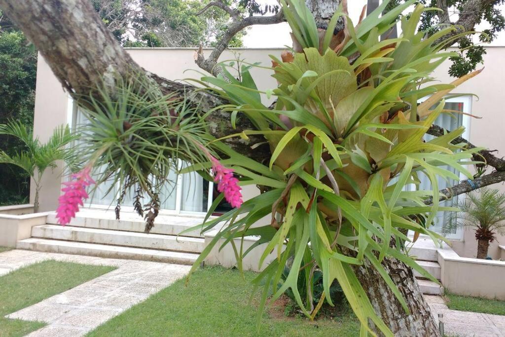Buzios Requinte&Sofisticação Búzios Exterior foto